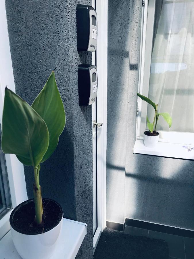 בראשוב Nairo Harmony Residence מראה חיצוני תמונה